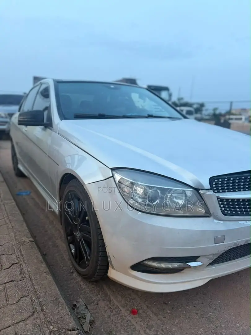 Mercedes-Benz C300 2010 Silver