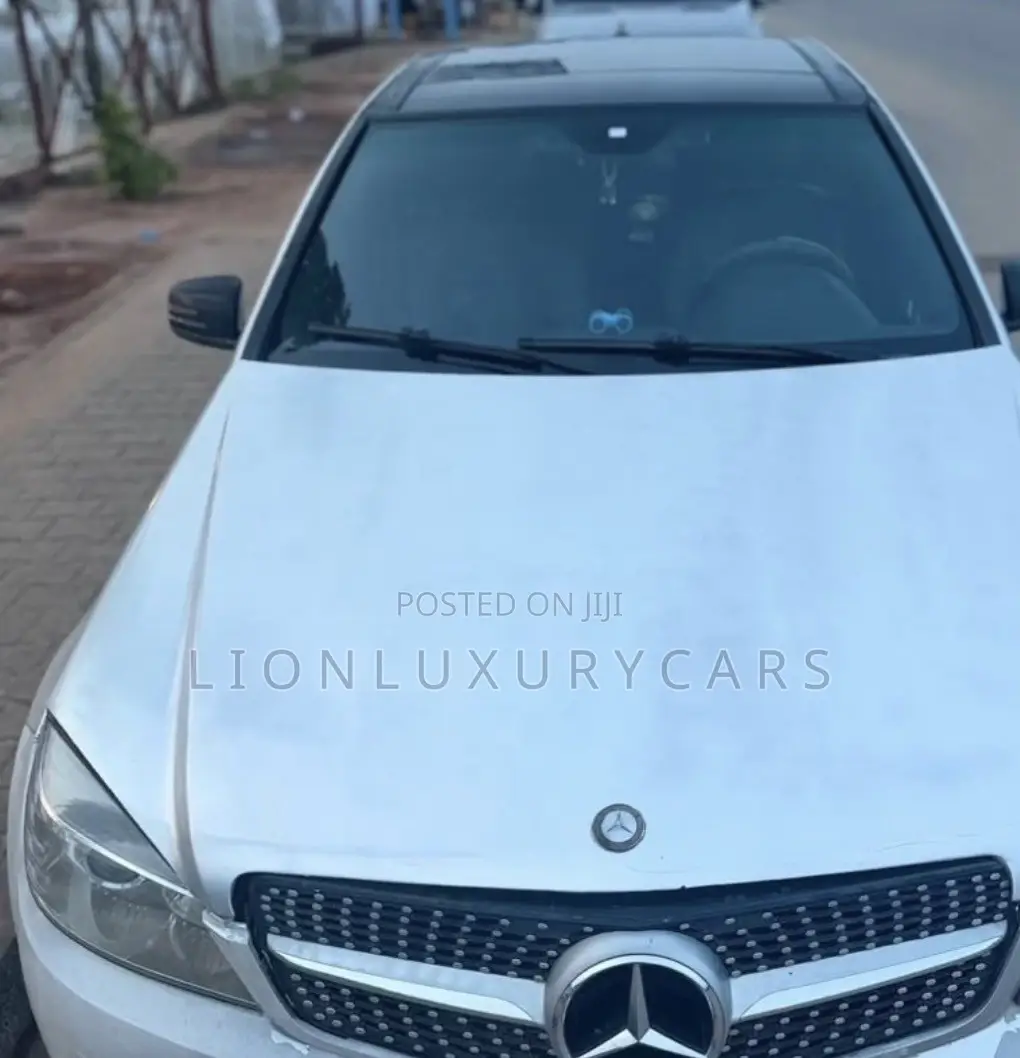 Mercedes-Benz C300 2010 Silver