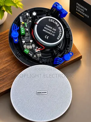 2 in 1 Bluetooth Ceiling Speaker