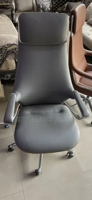 Higher Officce Executives CEO Chair