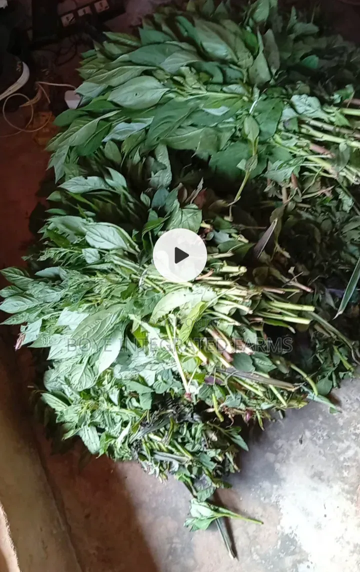 Vegetables