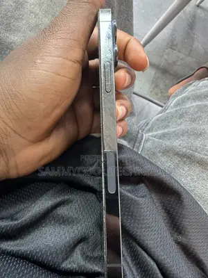 Apple iPhone 13 Pro Max 512 GB Graphite