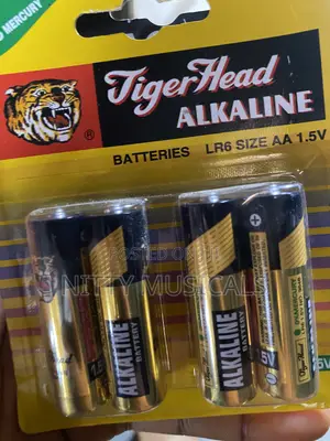 Rechargable AA Batteries