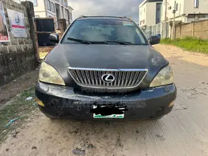 Lexus RX 2004 Gray
