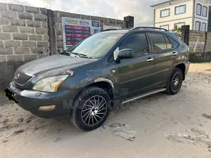 Lexus RX 2004 Gray