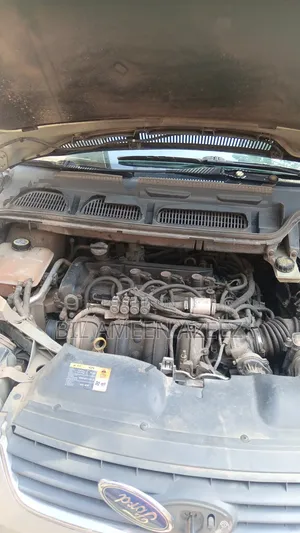 Ford Tourneo 2009 Silver
