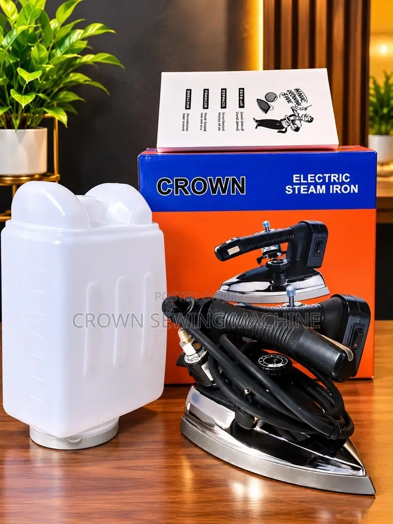 Electric Steam Iron