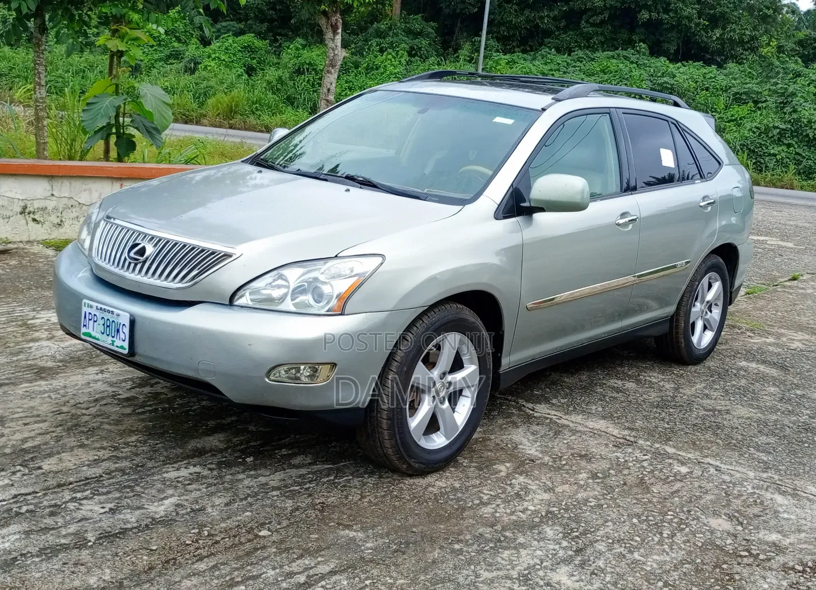 Lexus RX 2008 Gray