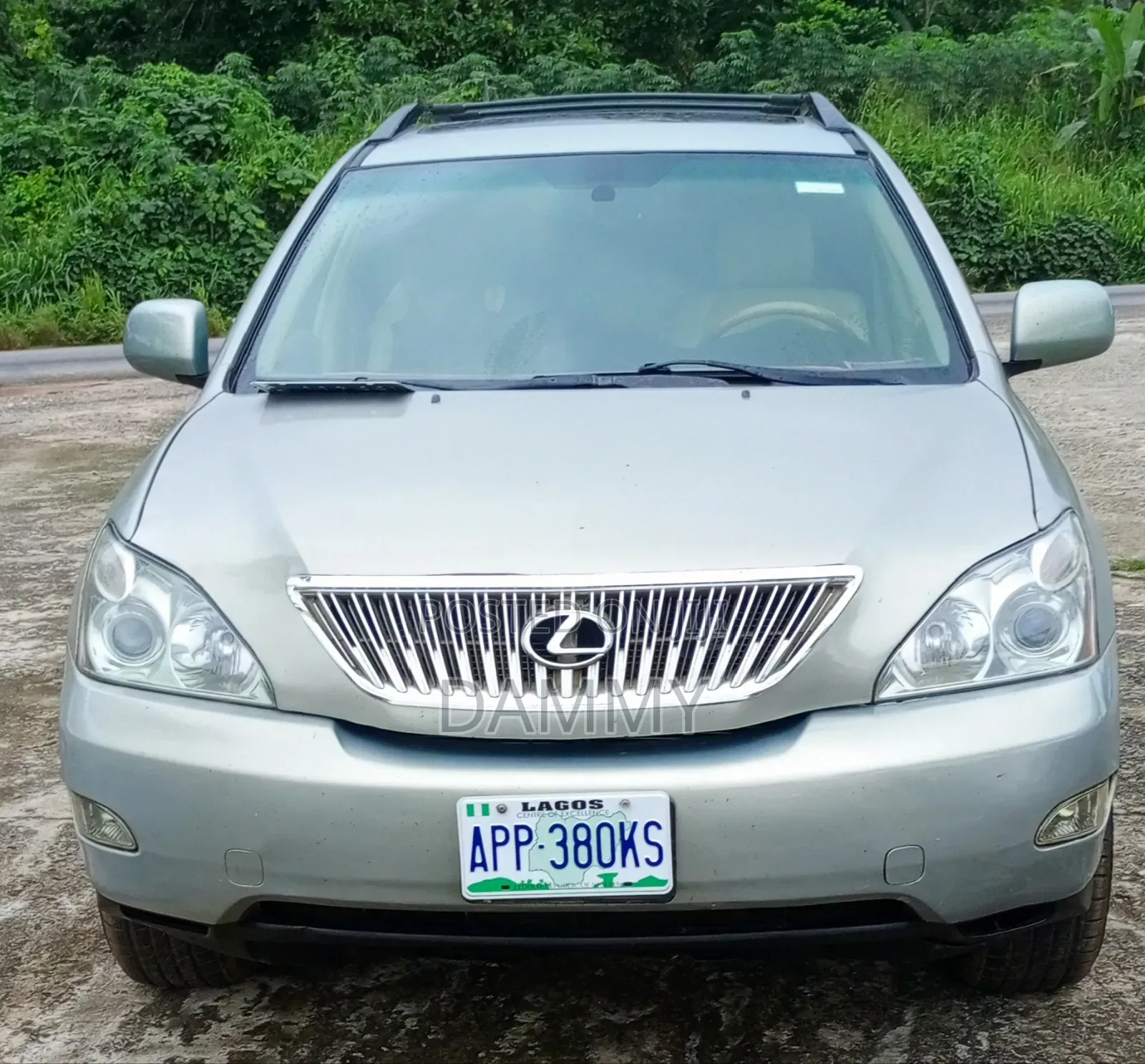 Lexus RX 2008 Gray