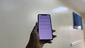 Apple iPhone 11 Pro Max 256 GB Gray