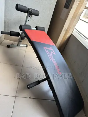 Adjustable Curved Sit-Up Bench / Ab Workout Bench - BANGLI