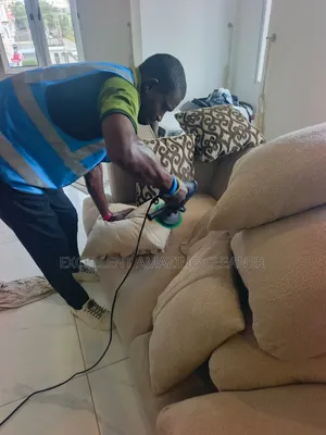 Professional Sofa Cleaning Within Your Area
