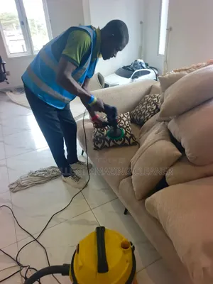 Professional Sofa Cleaning Within Your Area