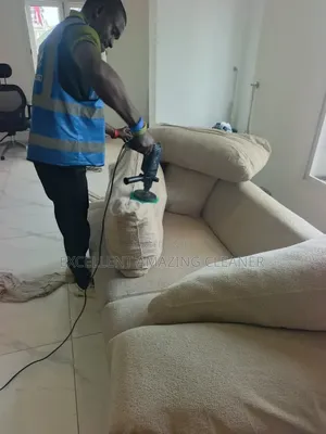 Professional Sofa Cleaning Within Your Area