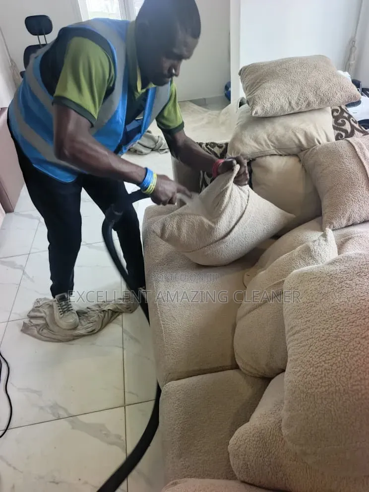 Professional Sofa Cleaning Within Your Area