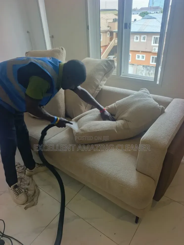 Professional Sofa Cleaning Within Your Area