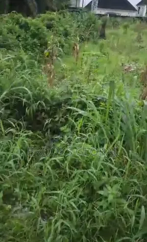 A Flat Land of 100/100 Feet at Ugbomro Effurun Warri for Sale