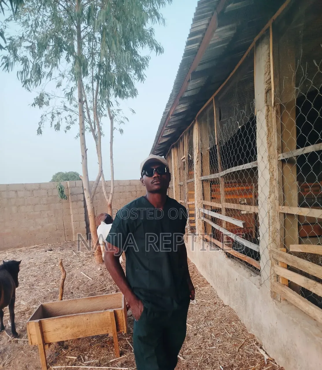Veterinary Doctor
