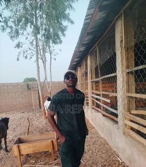 Veterinary Doctor