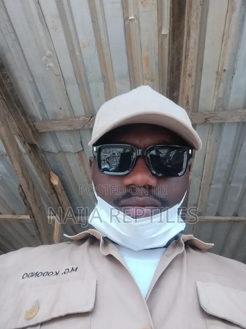 Veterinary Doctor