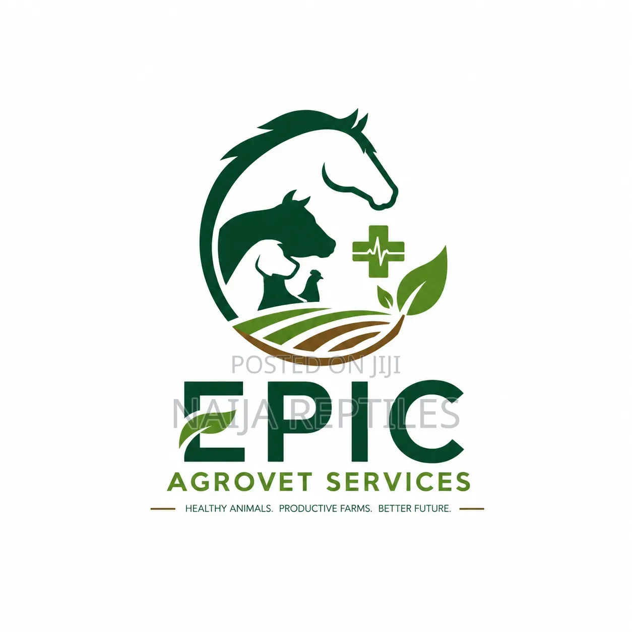 Veterinary Doctor