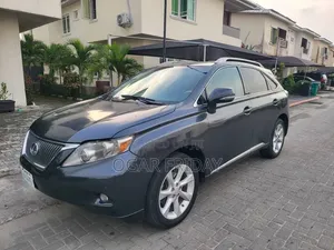 Lexus RX 350 2010 Gray