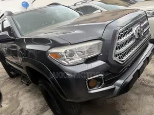 Toyota Tacoma 2024 Gray