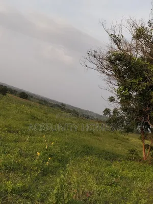 606 Acres of Farmland Available at Edu Village, Along Iseyin-Saki Road
