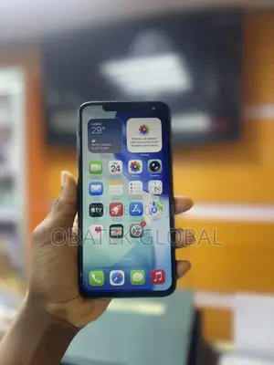 Apple iPhone 11 Pro Max 64 GB Gray