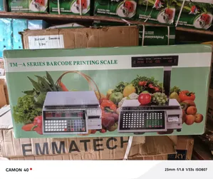 30kg Digital Printout Scale