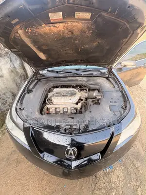 Acura TL 2011 Gray