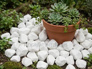 White Stone Very Good