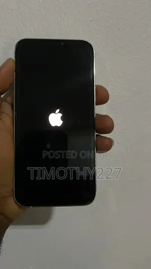 Apple iPhone 12 Pro Max 128 GB White