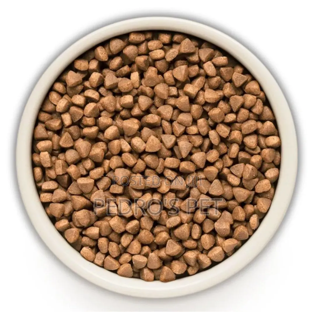 Booster Complete & Balanced Dry Cat Food
