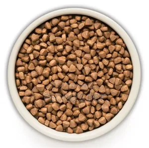 Booster Complete & Balanced Dry Cat Food