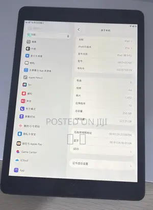 Apple iPad 10.2 (2021) 256 GB Gray