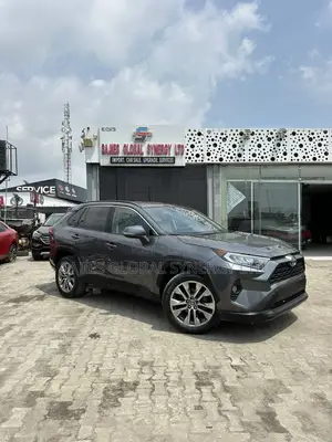 Toyota RAV4 XLE Premium AWD 2019 Gray
