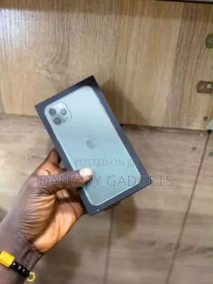 Apple iPhone 11 Pro Max 256 GB Green