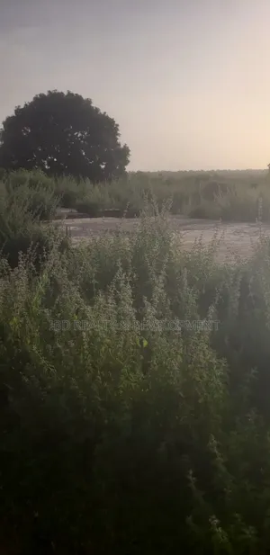 4 Plot of Land Measured by 200 by 100 Is Available for Sale at Kwasu