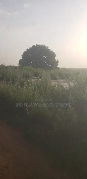 4 Plot of Land Measured by 200 by 100 Is Available for Sale at Kwasu