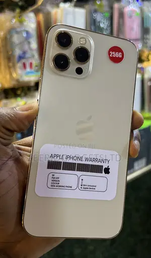 Apple iPhone 12 Pro Max 256 GB Gold