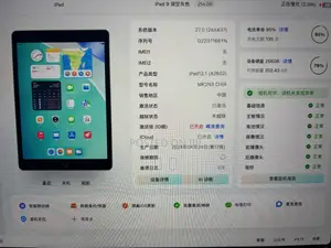 Apple iPad 10.2 (2021) 256 GB Gray
