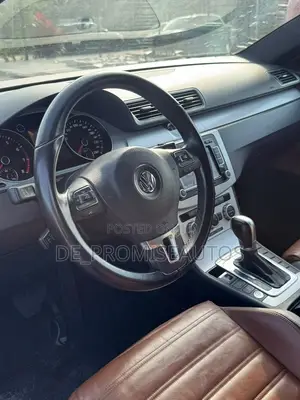 Volkswagen Passat 2016 Brown