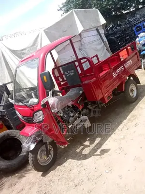 Tricycle Bike