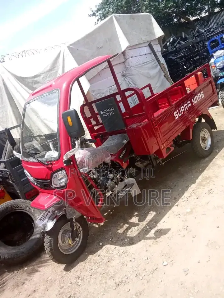 Tricycle Bike