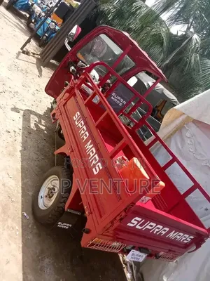 Tricycle Bike