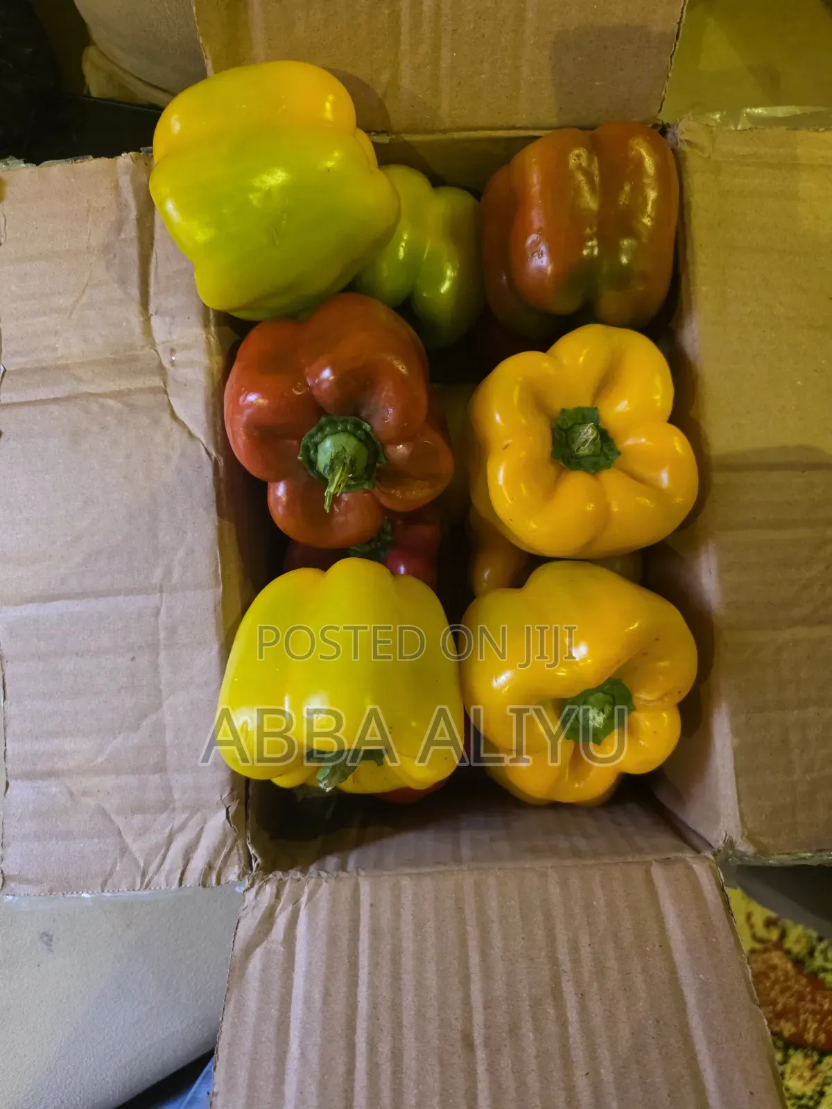 Fresh Bell Pepper & Cucumber