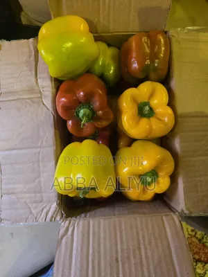 Fresh Bell Pepper & Cucumber