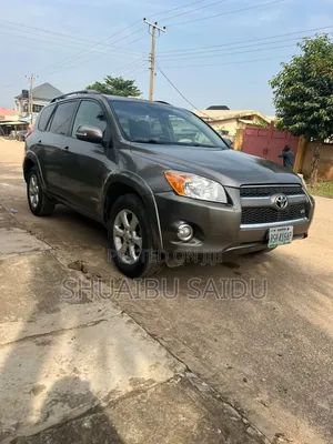 Toyota RAV4 2010 Brown