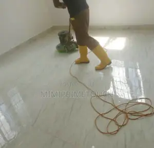 Cleaning Services